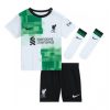 Kids Liverpool Mohamed Salah #11 Uit tenue 2023-24 Korte Mouw (+ Korte broeken)-1